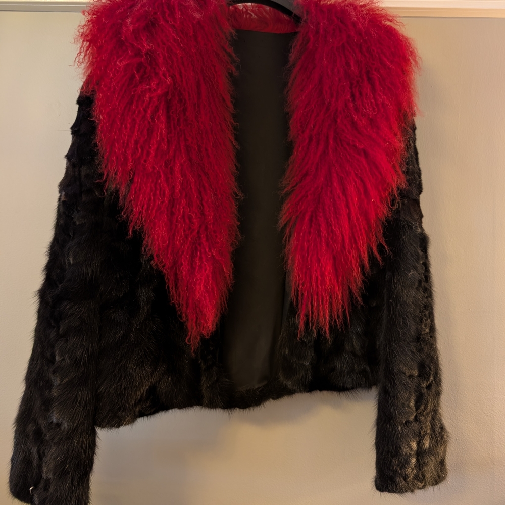 Elegant Black Mink  Teddy Jacket with Red Tiebatan Collar